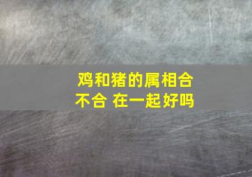 鸡和猪的属相合不合 在一起好吗